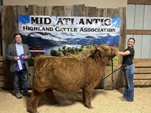 SKYE HIGH MERIT