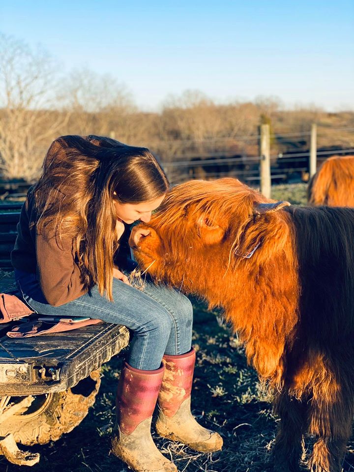 TC Highlands Farm Pleasureville, Kentucky